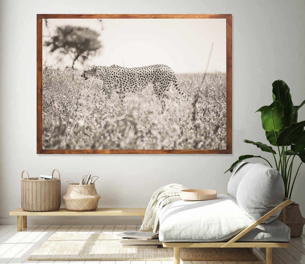 Wildlife art prints online